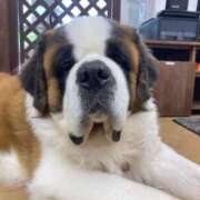 ヒメ日記 2025/09/23 10:30 投稿 大空　あかね PLATINA R-30（すすきの）