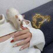 ヒメ日記 2025/12/09 10:28 投稿 大空　あかね PLATINA R-30（すすきの）