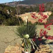 ヒメ日記 2025/01/04 19:13 投稿 きょうこ 熟女の風俗最終章 所沢店