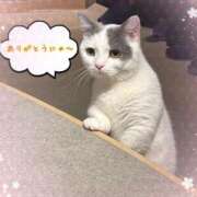 ヒメ日記 2025/02/27 12:30 投稿 細川 みゆう 神戸RED DRAGON