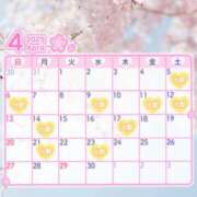 ヒメ日記 2025/03/29 10:45 投稿 細川 みゆう 神戸RED DRAGON