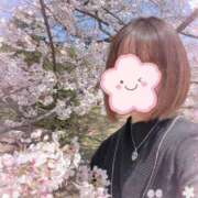 ヒメ日記 2025/04/09 17:37 投稿 細川 みゆう 神戸RED DRAGON