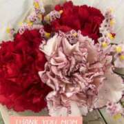 ヒメ日記 2025/05/11 12:15 投稿 細川 みゆう 神戸RED DRAGON