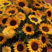 ヒメ日記 2025/07/11 12:15 投稿 細川 みゆう 神戸RED DRAGON