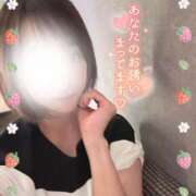 ヒメ日記 2025/08/01 08:30 投稿 細川 みゆう 神戸RED DRAGON