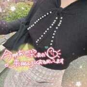 ヒメ日記 2026/03/31 18:49 投稿 細川 みゆう 神戸RED DRAGON