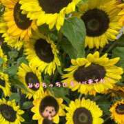 ヒメ日記 2026/08/08 08:30 投稿 細川 みゆう 神戸RED DRAGON
