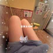 ヒメ日記 2025/08/31 17:00 投稿 音無 まゆ ハレ系 ひよこ治療院(中州)