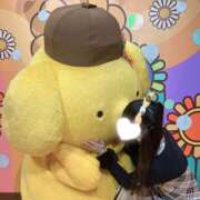 もえ ぷりぷりぷりん🍮 ビギナーズ東京