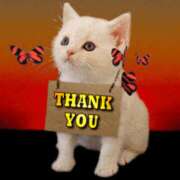 ヒメ日記 2024/12/08 10:13 投稿 みき TSUBAKI（水戸）