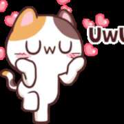 ヒメ日記 2025/02/06 17:44 投稿 みき TSUBAKI(水戸)