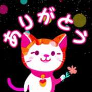 ヒメ日記 2025/02/09 13:38 投稿 みき TSUBAKI(水戸)