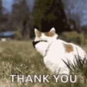 ヒメ日記 2025/03/03 17:28 投稿 みき TSUBAKI（水戸）