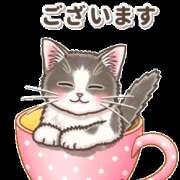 ヒメ日記 2025/03/17 10:23 投稿 みき TSUBAKI（水戸）