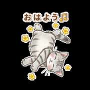 ヒメ日記 2025/03/28 10:05 投稿 みき TSUBAKI(水戸)