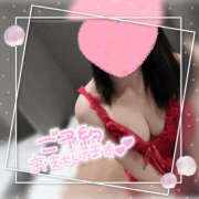 ヒメ日記 2025/04/17 10:21 投稿 みき TSUBAKI（水戸）