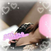 ヒメ日記 2025/04/20 12:15 投稿 みき TSUBAKI（水戸）