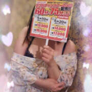 ヒメ日記 2025/05/15 12:25 投稿 みき TSUBAKI（水戸）