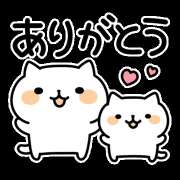 ヒメ日記 2025/06/25 12:15 投稿 みき TSUBAKI（水戸）