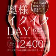 ヒメ日記 2025/06/25 12:34 投稿 みき TSUBAKI（水戸）