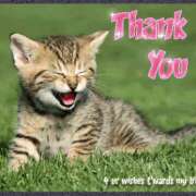 ヒメ日記 2025/06/28 00:31 投稿 みき TSUBAKI（水戸）