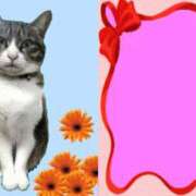 ヒメ日記 2025/07/03 17:54 投稿 みき TSUBAKI（水戸）