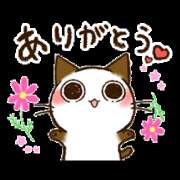 ヒメ日記 2025/09/08 10:12 投稿 みき TSUBAKI（水戸）