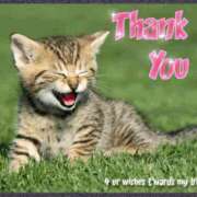 ヒメ日記 2025/11/25 17:46 投稿 みき TSUBAKI（水戸）