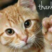 ヒメ日記 2026/02/16 11:24 投稿 みき TSUBAKI（水戸）