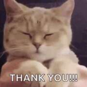 ヒメ日記 2026/04/05 13:21 投稿 みき TSUBAKI（水戸）