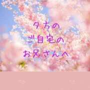 ヒメ日記 2024/05/03 08:36 投稿 りむ奥様 金沢の20代30代40代50代が集う人妻倶楽部