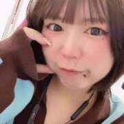 ヒメ日記 2025/05/08 17:26 投稿 ことり マリン宇都宮店