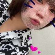 ヒメ日記 2025/05/15 17:21 投稿 ことり マリン宇都宮店