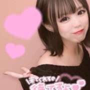 ヒメ日記 2025/06/03 16:11 投稿 ことり マリン宇都宮店