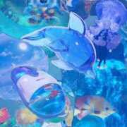 ヒメ日記 2025/06/12 10:36 投稿 ことり マリン宇都宮店