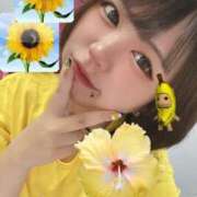 ヒメ日記 2025/06/19 09:26 投稿 ことり マリン宇都宮店