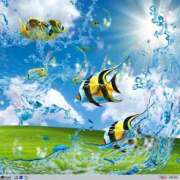 ヒメ日記 2025/07/03 23:36 投稿 ことり マリン宇都宮店