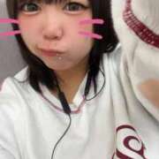 ヒメ日記 2025/09/25 16:26 投稿 ことり マリン宇都宮店