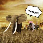 ヒメ日記 2024/12/13 18:50 投稿 なぎさ 大阪フェチクラブ