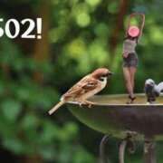 ヒメ日記 2025/05/02 12:50 投稿 なぎさ 大阪フェチクラブ