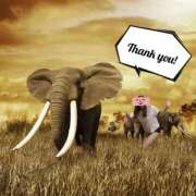 ヒメ日記 2025/05/17 09:37 投稿 なぎさ 大阪フェチクラブ