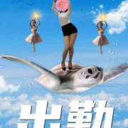ヒメ日記 2025/05/28 09:36 投稿 なぎさ 大阪フェチクラブ