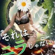 ヒメ日記 2025/05/30 19:56 投稿 なぎさ 大阪フェチクラブ