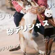 ヒメ日記 2025/11/21 20:09 投稿 なぎさ 大阪フェチクラブ