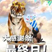 ヒメ日記 2025/12/04 20:27 投稿 なぎさ 大阪フェチクラブ