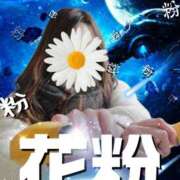 ヒメ日記 2026/02/07 10:46 投稿 なぎさ 大阪フェチクラブ