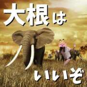 ヒメ日記 2026/03/26 22:55 投稿 なぎさ 大阪フェチクラブ