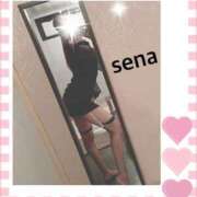 ヒメ日記 2024/12/20 23:56 投稿 セナ Picasso(ピカソ)