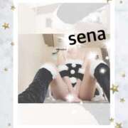 ヒメ日記 2024/12/21 15:10 投稿 セナ Picasso(ピカソ)