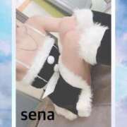 ヒメ日記 2024/12/22 13:18 投稿 セナ Picasso(ピカソ)